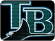 Matthew Hatfield's 2006 MLB Season Preview for the Tampa Bay Devil Rays